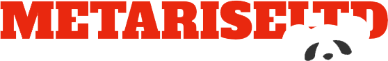 METARISE LTD